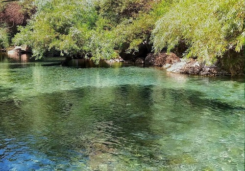 چشمه انجیری